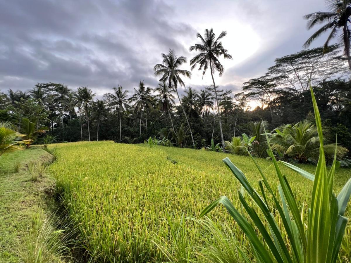 Uma Mupu Retreat Villa Gianyar  Exterior photo